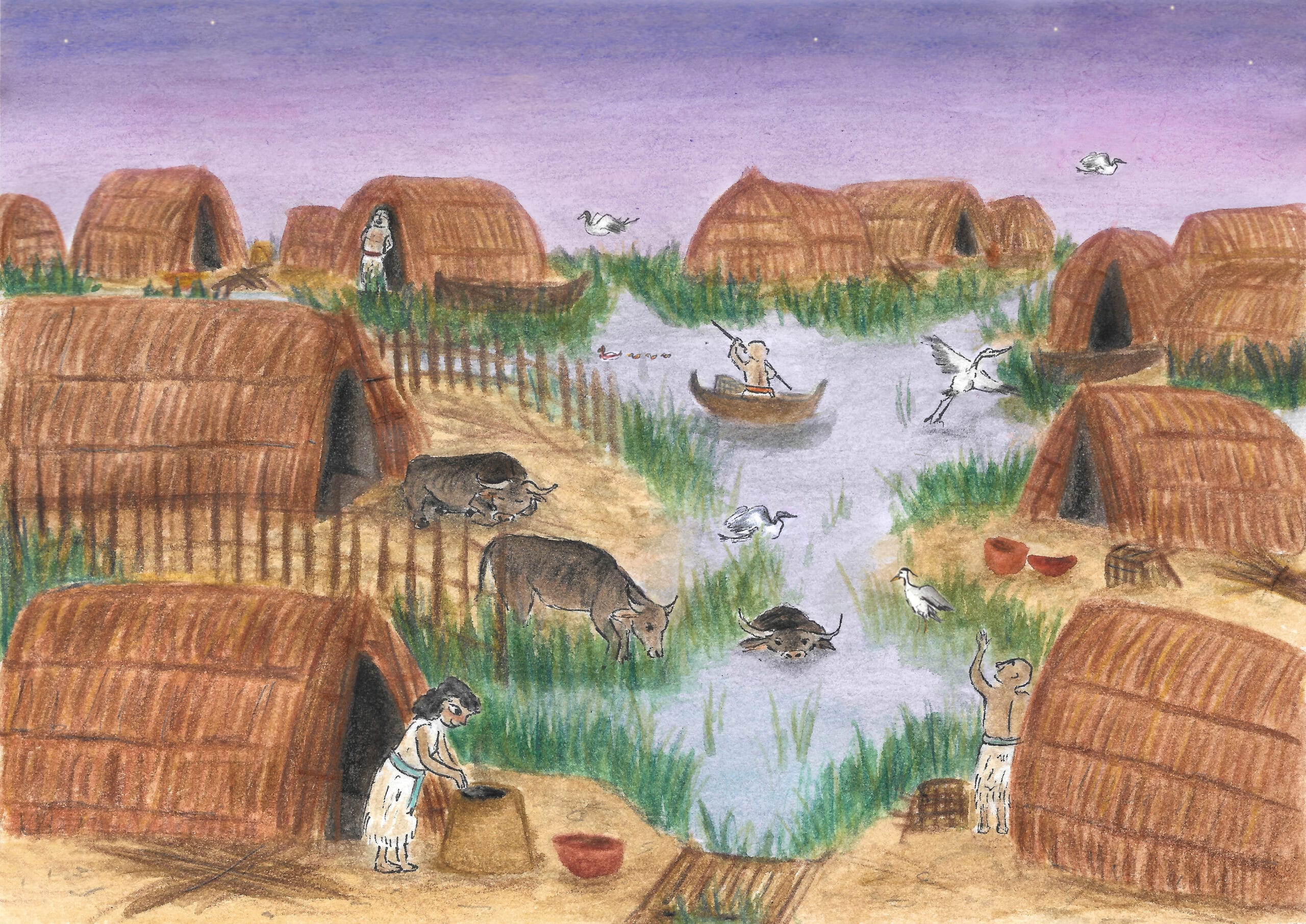 Marsh Village